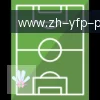 PG模拟器 logo