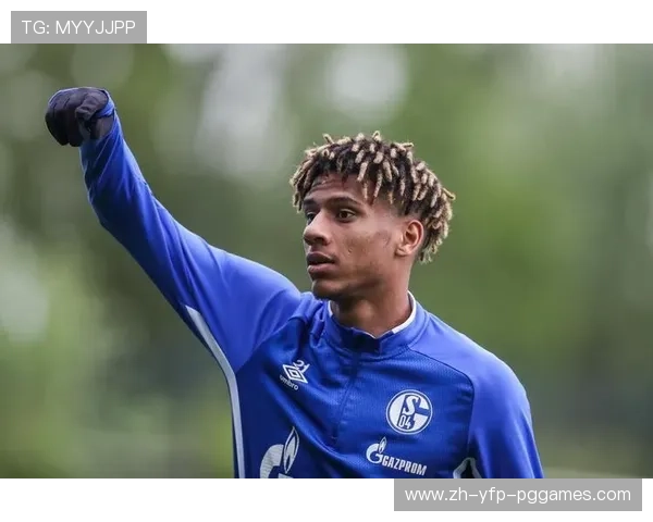 托迪博效力过的德甲球队介绍