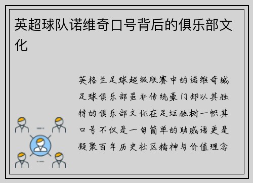 英超球队诺维奇口号背后的俱乐部文化